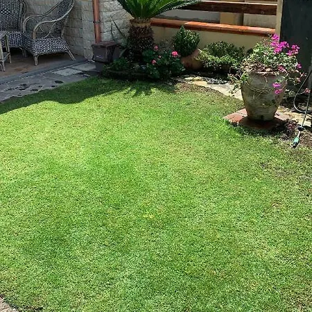 Casa V&g